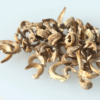 Calendula (Pot Marigold) flower seed - Image 6